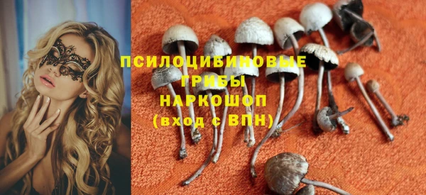 гашик Абдулино