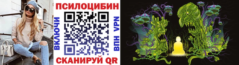 Псилоцибиновые грибы GOLDEN TEACHER  наркота  Кимовск 